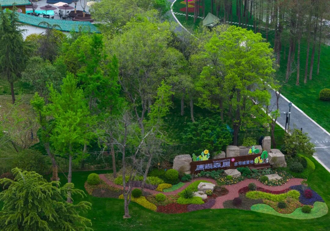 DJI_20260411114733_0718_D.jpg