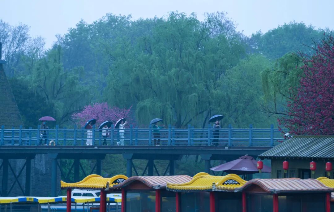 宋夹城春雨刘江瑞摄 (29).jpg