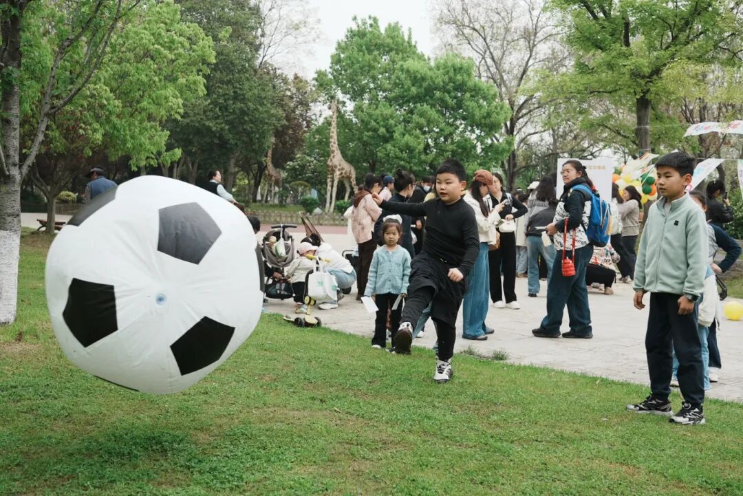 ZLY07696.JPG