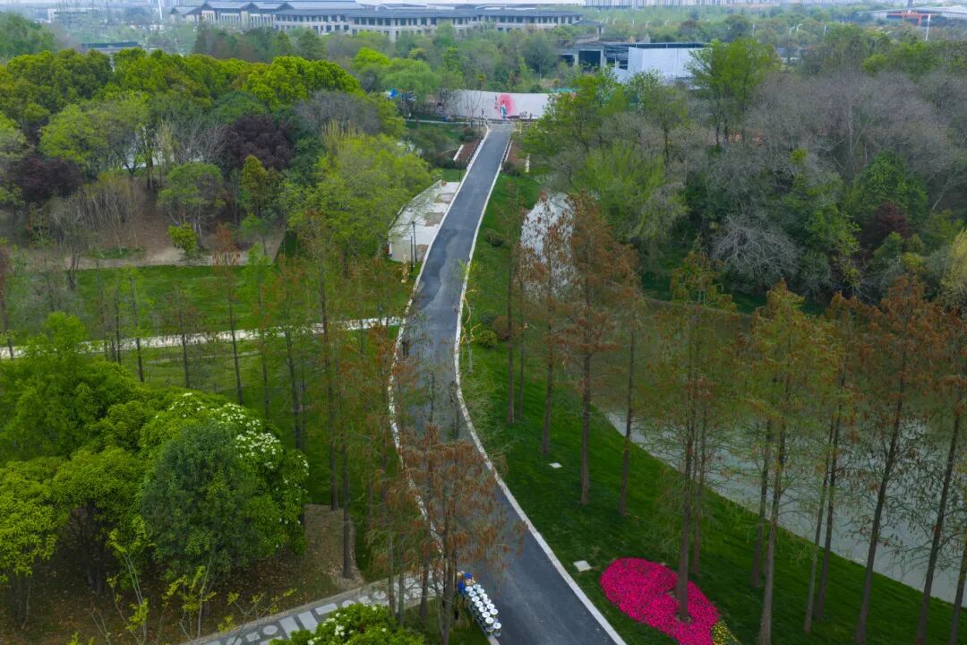 DJI_20260411104008_0582_D.jpg