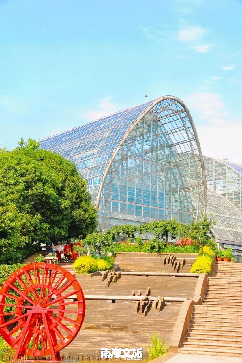 每个重庆人都爬过的南山,有什么魔力?