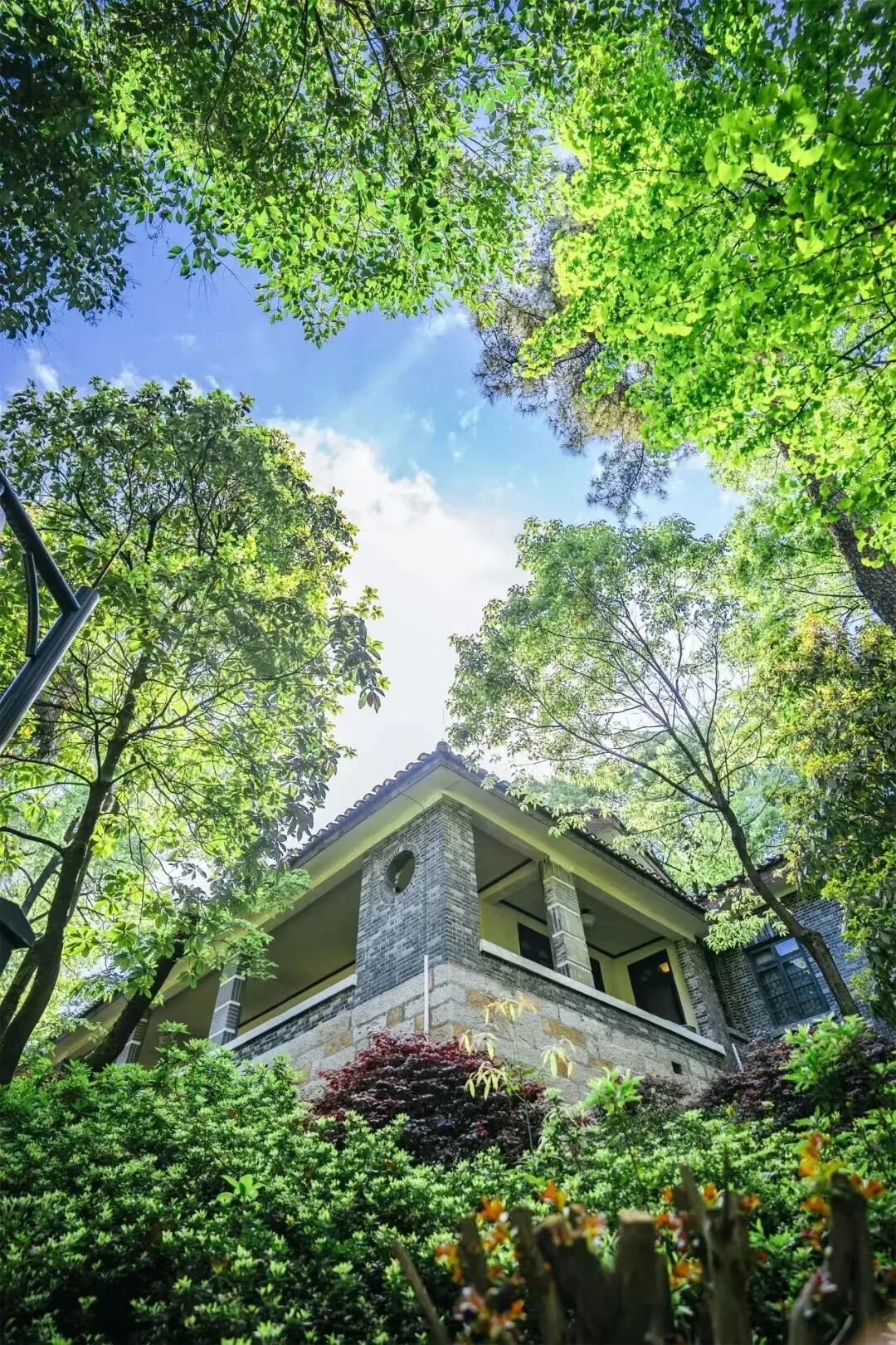 每个重庆人都爬过的南山,有什么魔力?