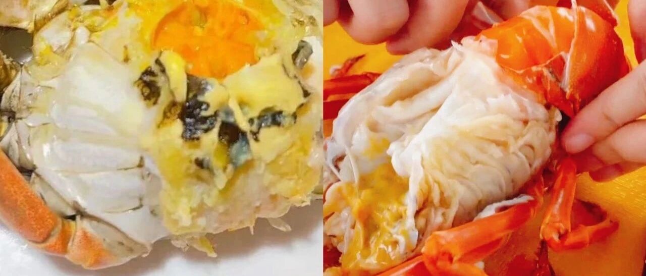 现捞现吃！比脸大的螃蟹，比手粗的龙虾，没有XXXL胃的不敢来！