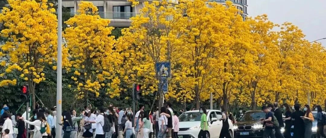 热到穿短袖，最高气温竟达30℃？广东或将出现首场雷雨