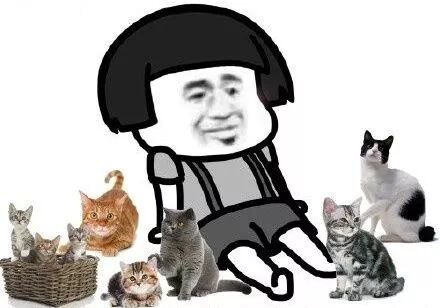 韦小宝后代在广东，请看以下考证