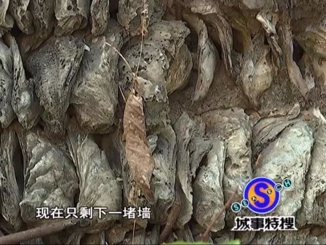 韦小宝后代在广东，请看以下考证