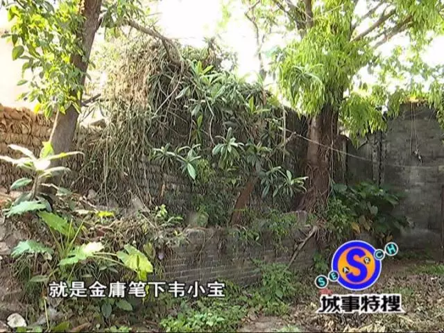 韦小宝后代在广东,请看以下考证 韦小宝后代在广东,请看以下考证