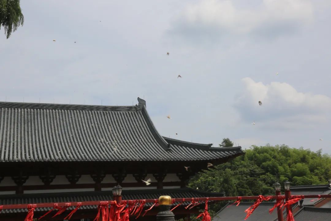 水陆｜径山禅寺重修圆满落成，启建辛丑秋水陆法会通启