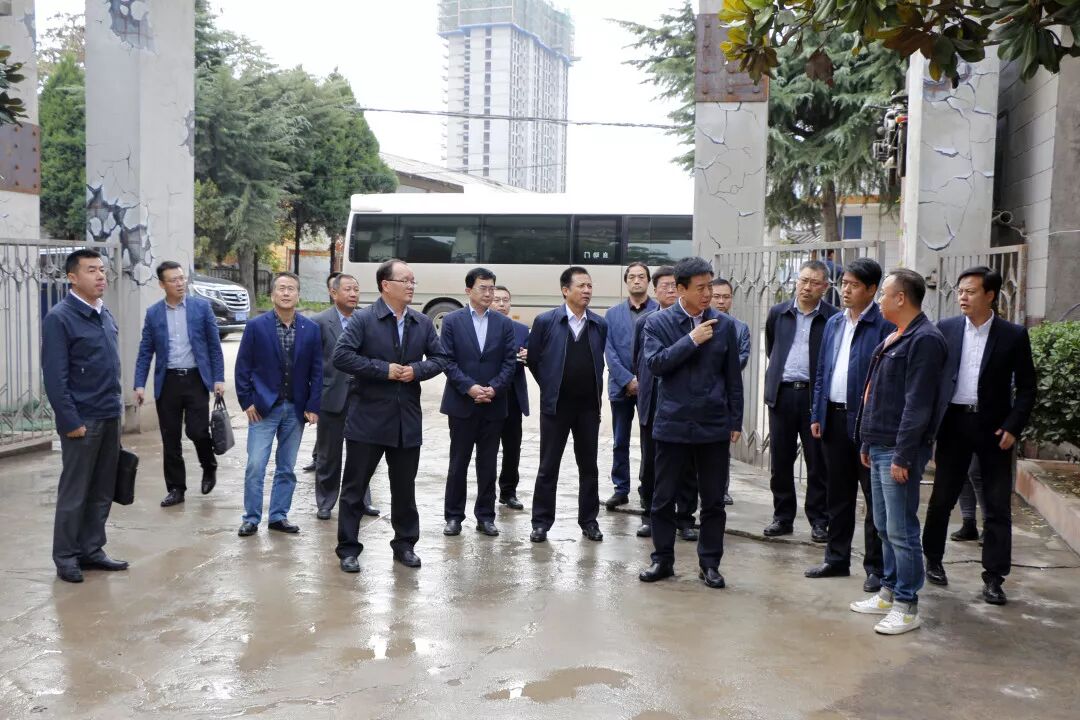 市长惠进才莅临卧龙创意文化艺术产业园参观视察