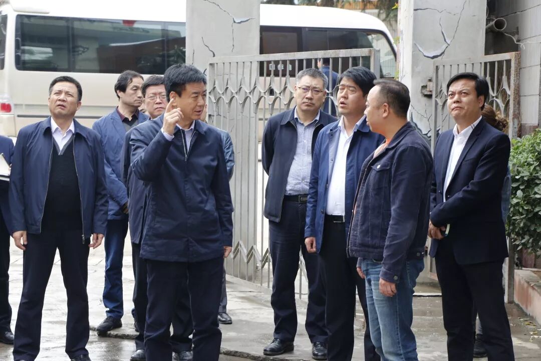 市长惠进才莅临卧龙创意文化艺术产业园参观视察