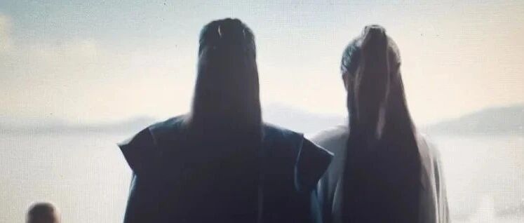 炒作割韭菜，难怪你凉凉