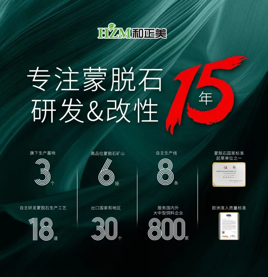 技术引领趋势 创新共赢未来