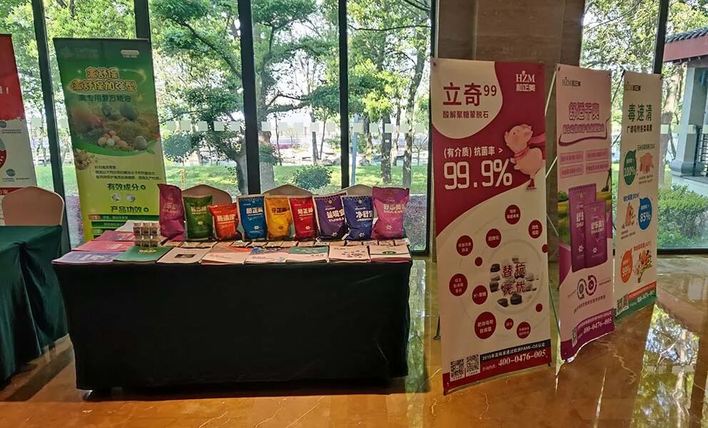 技术引领趋势 创新共赢未来