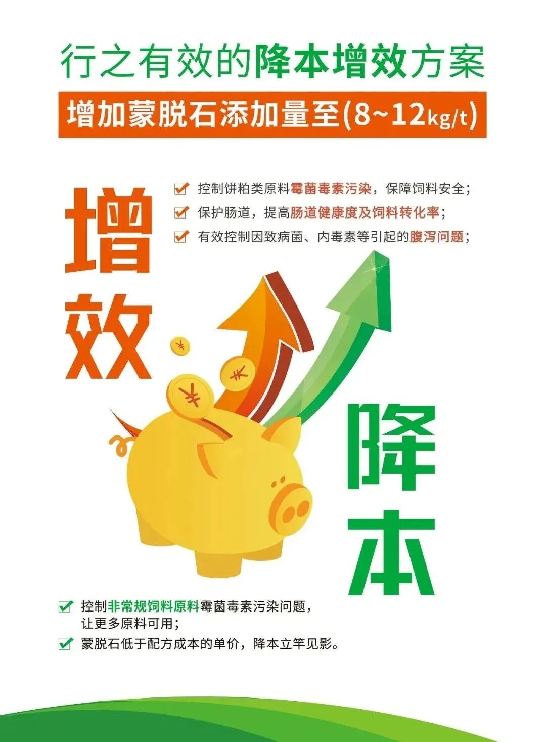 技术引领趋势 创新共赢未来