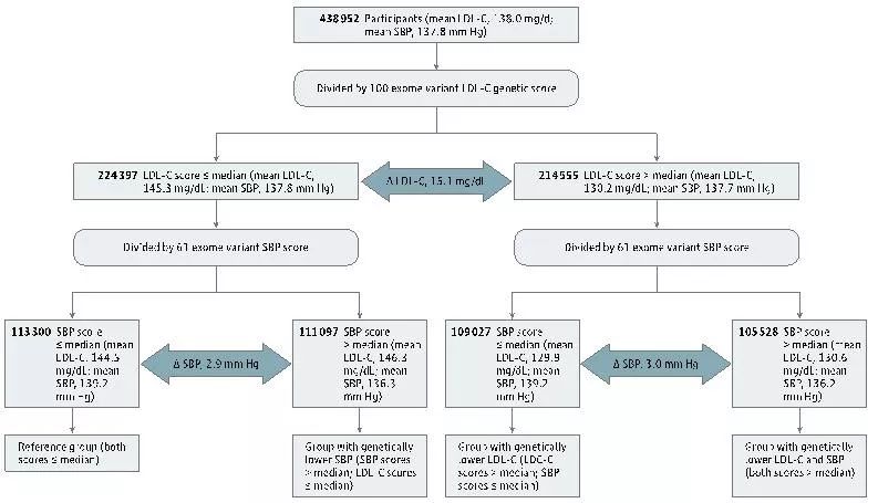 ESC特邀解讀丨低LDL-C和SBP水平與心血管結局究竟關係幾何？ 健康 第3張