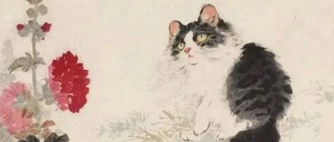 这个皇帝太痴狂！为猫写祭文超度，还用金棺下葬