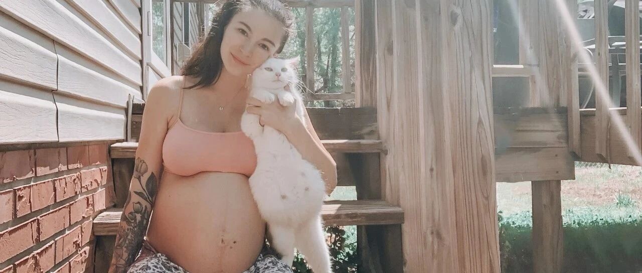 奇妙的缘分！怀孕妈妈捡到怀孕母猫，他们的宝宝同时出生！