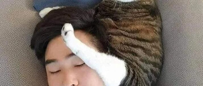 猫咪对男女主人的态度判若两猫，不甘心的女主人一番努力后终于找到了原因...