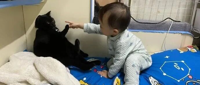猫：我拿你当儿子，你拿我当孙子？我忍！