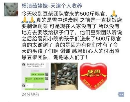 666份免費貓糧請你吃！加贈一年免費你來不來！ 寵物 第33張