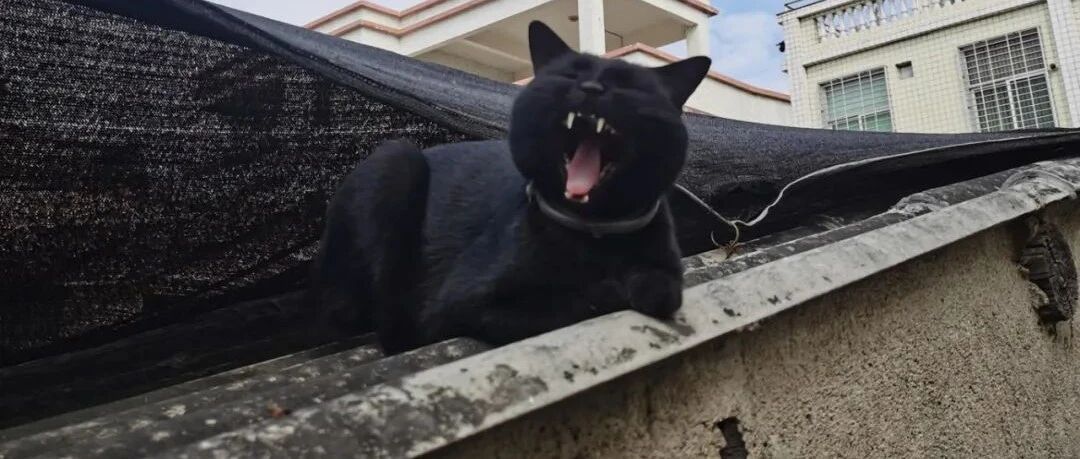 正常的深渊到底长啥样？看完这些照片我沉默了……