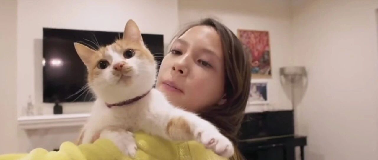 奥运冠军谷爱凌也爱撸猫！那么问题来了，她的猫会滑雪吗？