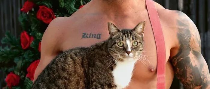 来了来了，2021年的猫咪和猛男又新鲜出炉啦