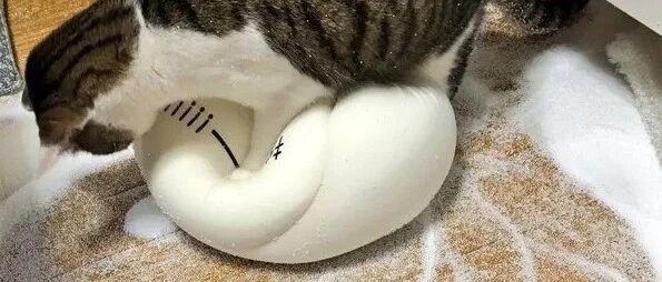 “啊啊啊啊啊啊啊啊啊啊啊啊......”