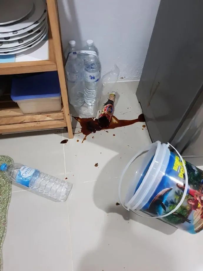 养猫的人有多痛苦?看到第三张图窒息了-微信头条网 养猫的人有多痛苦?看到第三张图窒息了