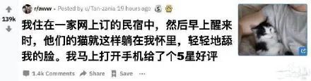 养猫的人有多痛苦?看到第三张图窒息了-微信头条网 养猫的人有多痛苦?看到第三张图窒息了