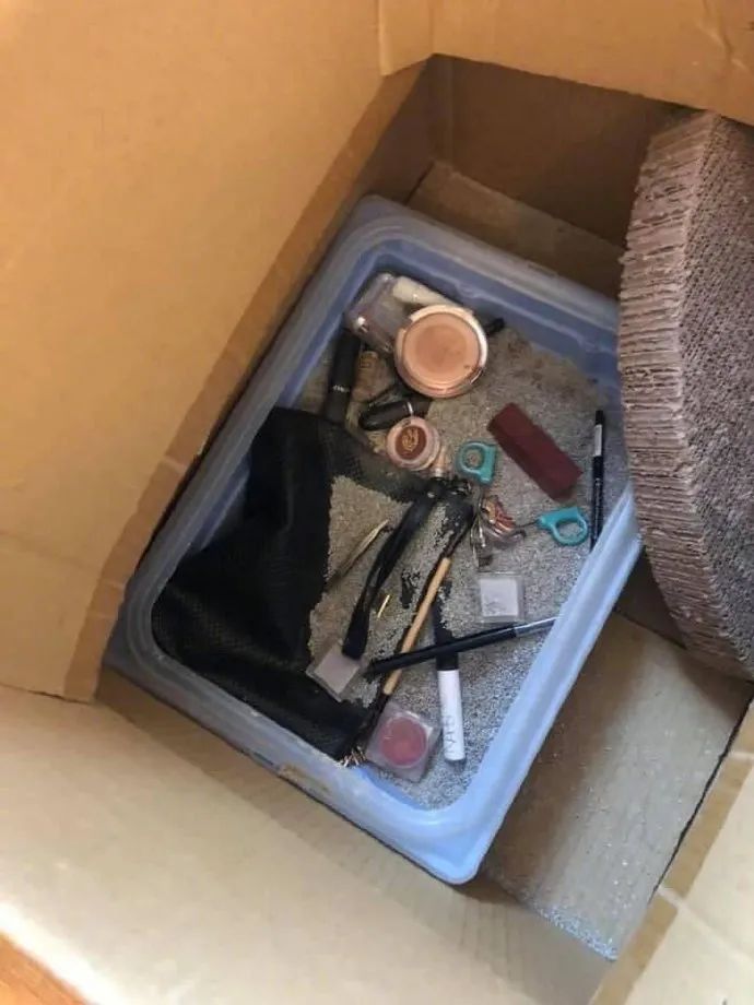 养猫的人有多痛苦?看到第三张图窒息了-微信头条网 养猫的人有多痛苦?看到第三张图窒息了