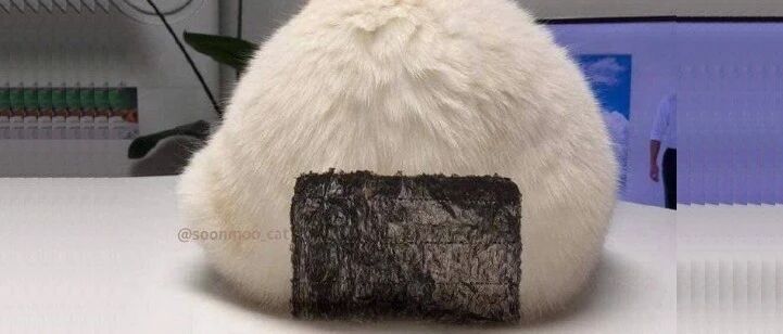 我家猫，突然看起来不太像猫了...