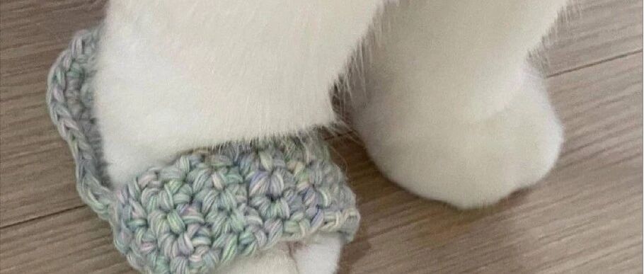 当猫咪穿上铲屎官亲手做的拖鞋...啊啊啊我要流鼻血了