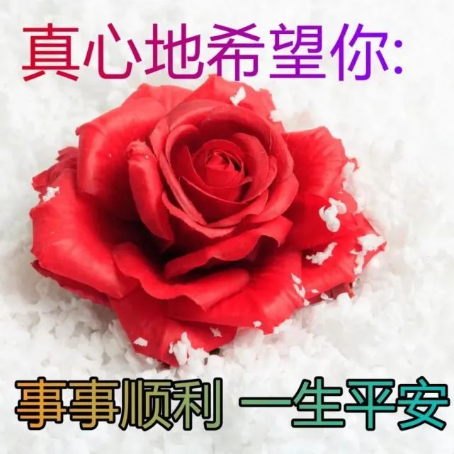 老年祝福图片大全图片