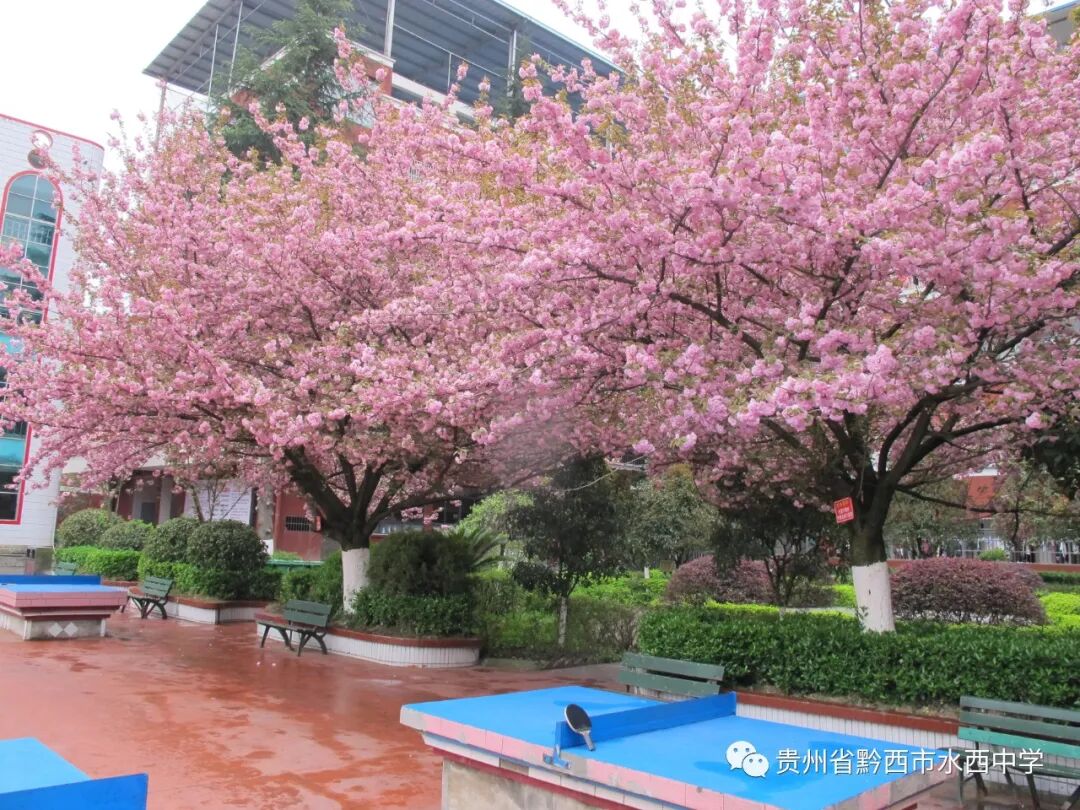 黔西县水西中学