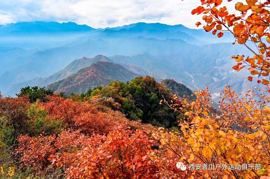 周邊近處未有比之高者,登臨桂峰山頂,北看廣闊平坦的關中平原,南望