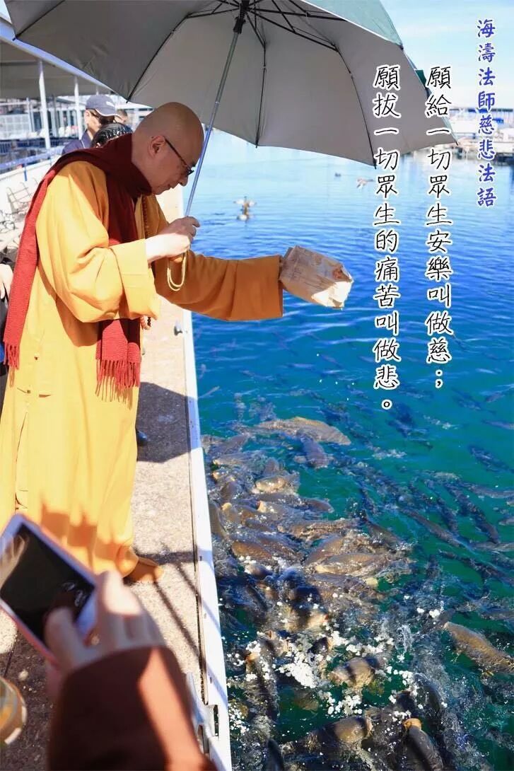 海涛法师 你不超度 冤亲债主也会找你 自由微信 Freewechat