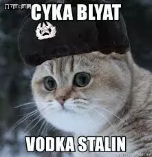 苏卡不列俄语翻译_92外语俄语在列车上_苏丽珂俄语