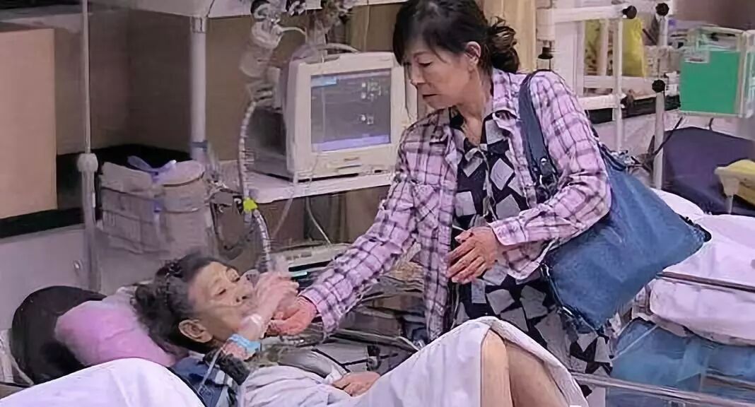 看完这个视频，99%的人都选择去买黑茶！