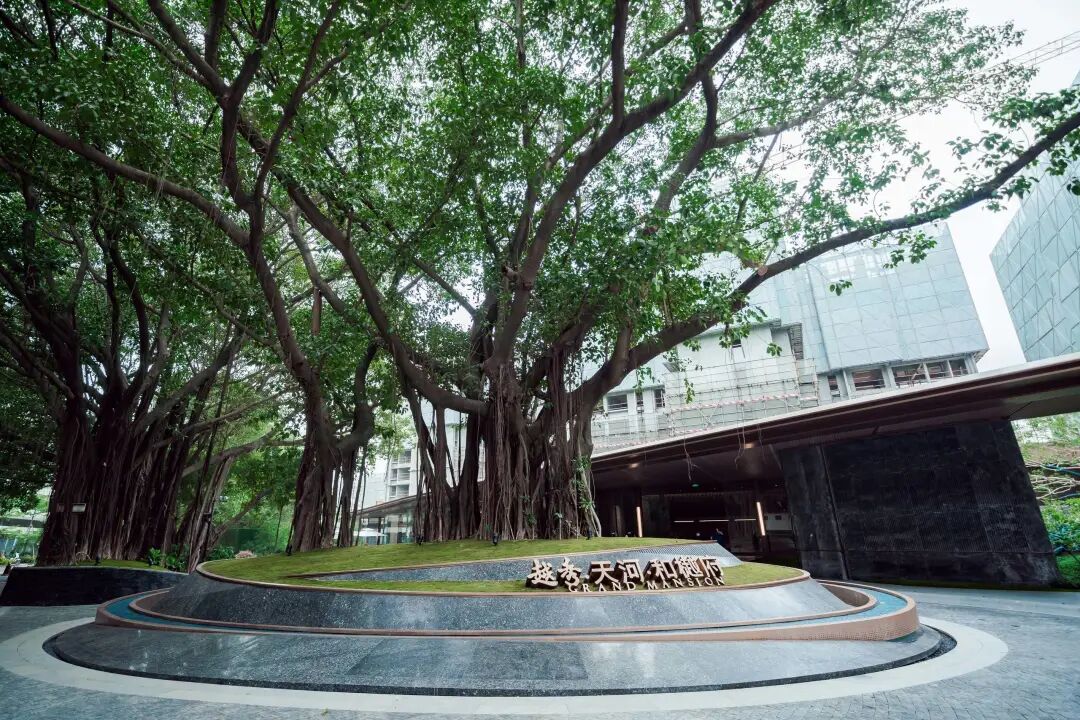 越秀天河和樾府*新户型180平，价格在8.3-8.6万！