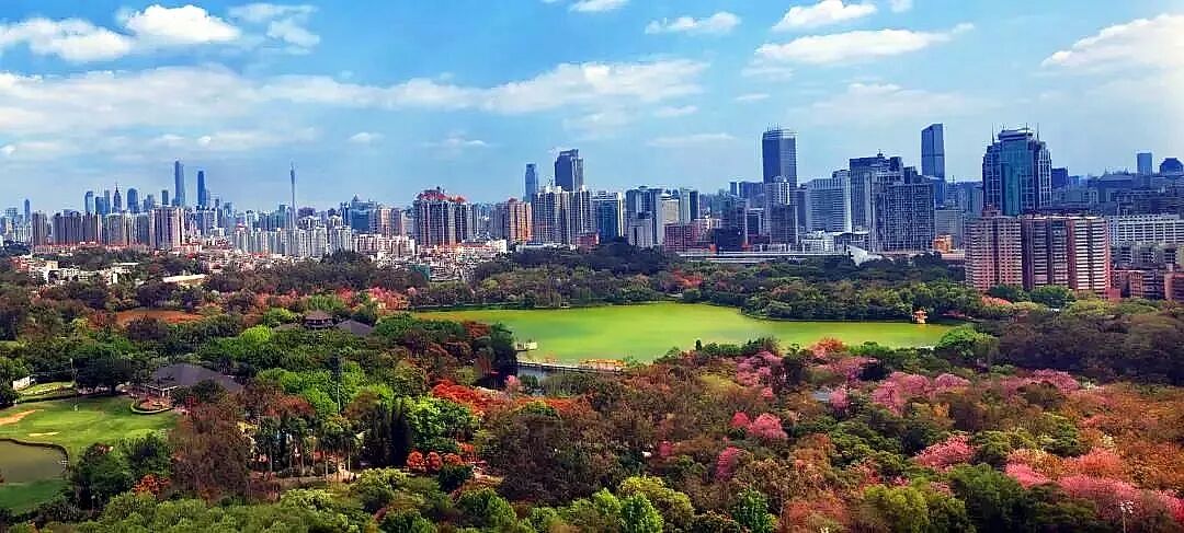 富云山要来了！山景+CBD+大平层，产品力如何？