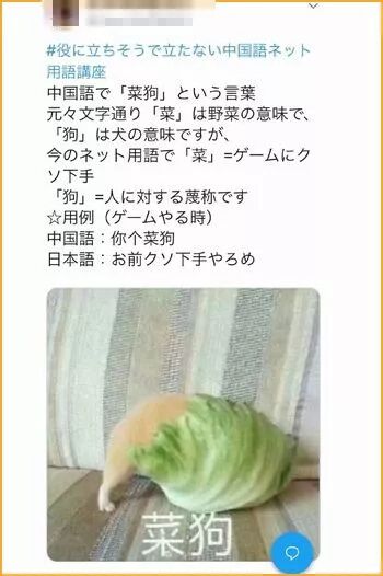 一部研究中国网络语的日语辞典 刚上架就 打败 了 三体 自由微信 Freewechat