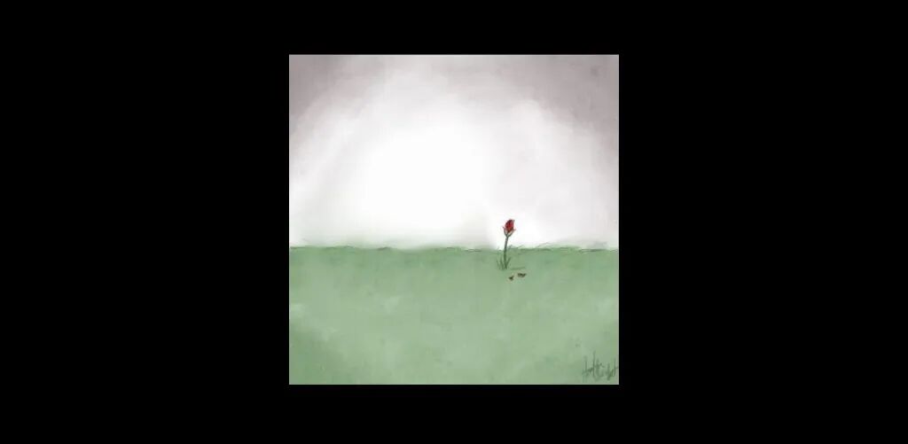 官网站点_d站官网_官网站点下载是什么意思