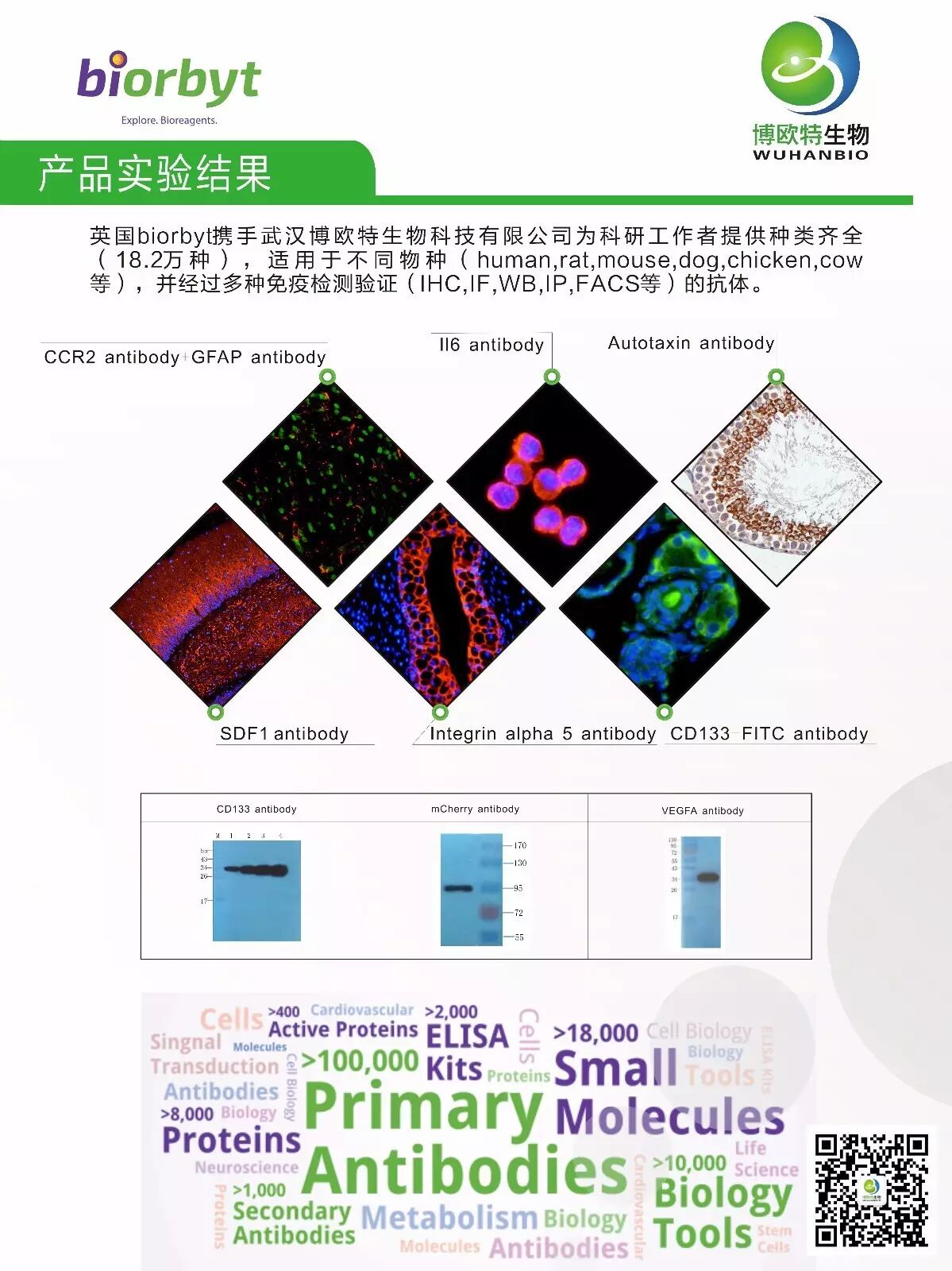 biorbyt-即将亮相第八届中国 (泰州) 国际医药博览会！