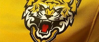 虎年画虎，这波老虎主题logo设计很精彩！