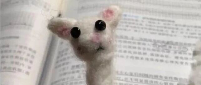 双11后，店家拼了老命都想删除的买家秀