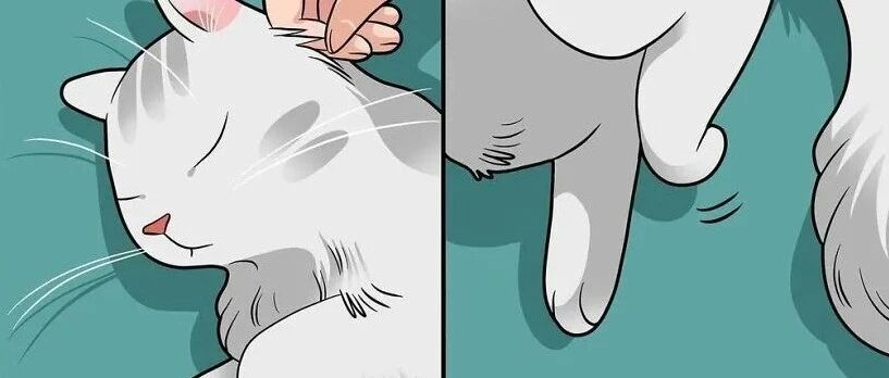 ​人间真实！艺术家笔下“猫主子”的日常！