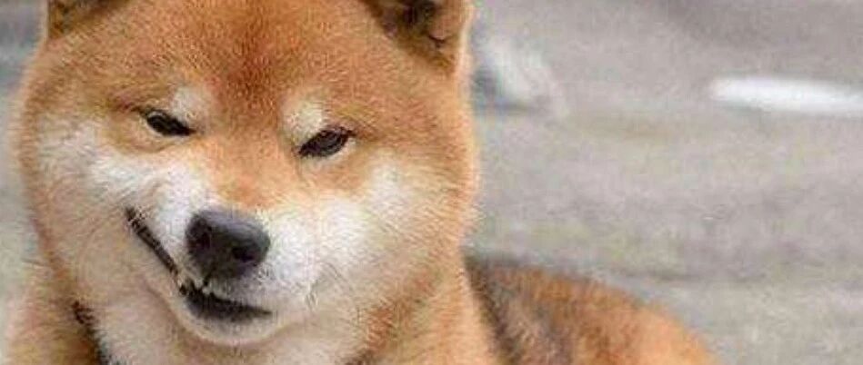 灵魂拷问：你们公司中秋发了什么？