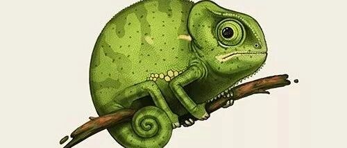 胖有啥好的？至少可爱啊~不信你看~