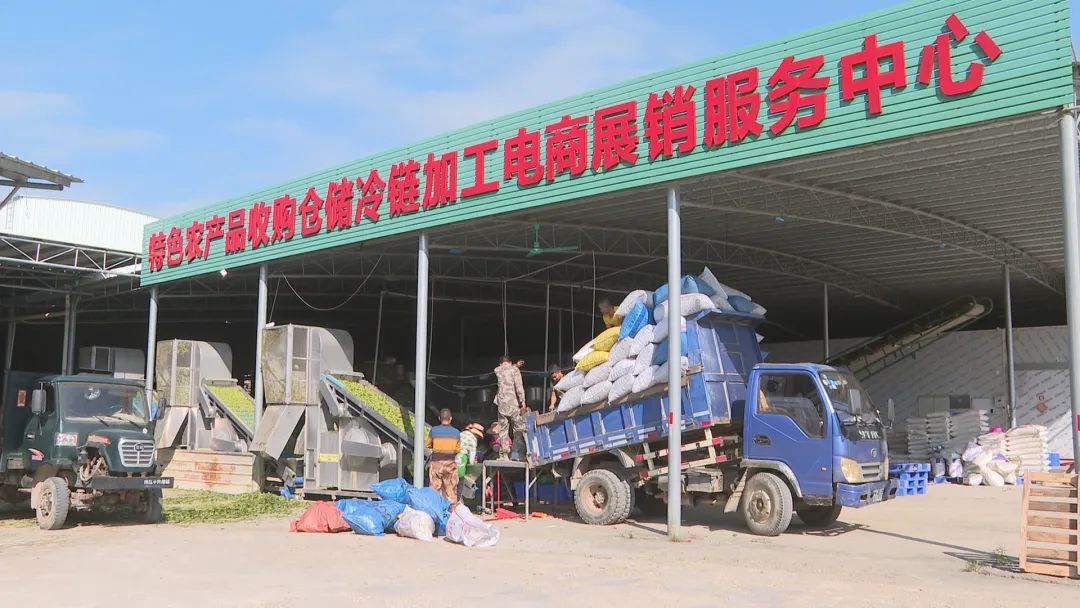 牽手北京新發地農產品批發市場,向首都人民推介陽西農產品,助推陽西農